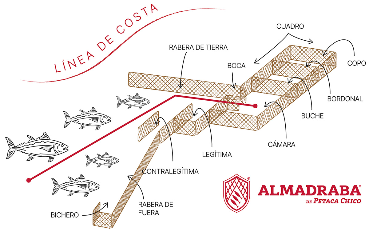 ALMADRABA---INFOGRAFIA-ALMADRABA01